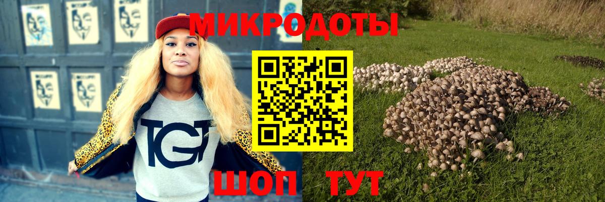 Галлюциногенные грибы мухоморы Дивногорск